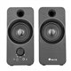 Altavoces Multimedia NGS 2.0 6W USB Negro (SB350)