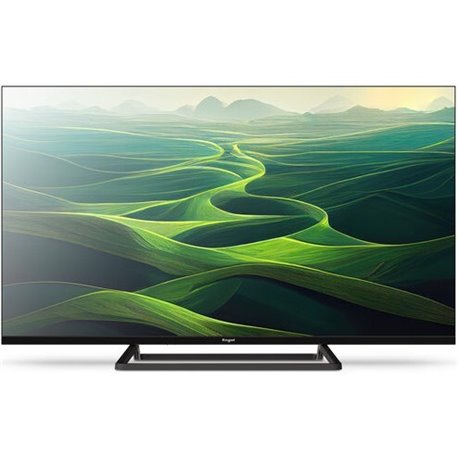 TV Engel 40" Modo Hotel LED FHD 2xUSB 3xHDMI (LE4066T2)