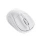 Ratón Trust Primo Óptico Wireless RF Blanco (24795)