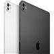 Apple iPad Pro 11 M4 11" 8Gb 512Gb Negro (MVVC3TY/A)