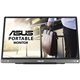 Monitor ASUS ZenScreen MB16ACE 15.6" LED IPS USB Gris