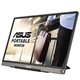 Monitor ASUS ZenScreen MB16ACE 15.6" LED IPS USB Gris