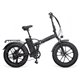 Bicicleta Eléctrica YOUIN Texas II 20" 250W (BK1201B)