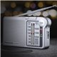 Radio FM Portátil Panasonic Plata (RF-P150DEGS)