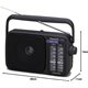 Radio Portátil Panasonic Negra (RF-2400DEG-K)