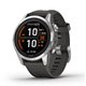 Smartwatch Garmin Fenix 7S Pro 42mm Gris (010-02776-01)