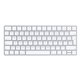 Teclado Apple Magic Keyboard (MLA22Y/A)