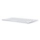 Teclado Apple Magic Keyboard (MLA22Y/A)