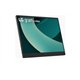 Monitor Portátil LG 17" IPS WQXGA Negro (17MT70.ASDWU)