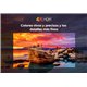TELEVISOR TCL 75 UHD 4K USB SMART TV ANDROID WIFI BLUETOOTH