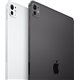 Apple iPad Pro 11 M4 11" 8Gb 256Gb Plata (MVV93TY/A)