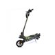Patinete SmartGyro Raptor 10" 1000W DGT Verde(SG27-430)