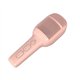 Microfono CELLY Party Wireless 5W Rosa(KIDSFESTIVAL2PK)