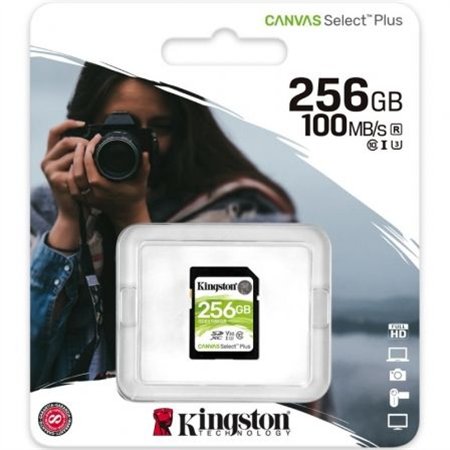 Kingston SDXC Canvas 256Gb C10 UHS-I V30 (SDS2/256GB)