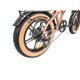 Bicicleta Eléctrica Youin FAT E-Bike DALLAS (BK1650)