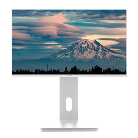 Monitor Approx 27" LCD IPS FHD 100Hz Blanco (APPM27SW)