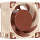 Ventilador Noctua 40mm Beige/Marrón (NF-A4X20-PWM)