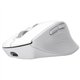 Ratón Trust Niven RF Wireless/Bluetooth Blanco (26022)