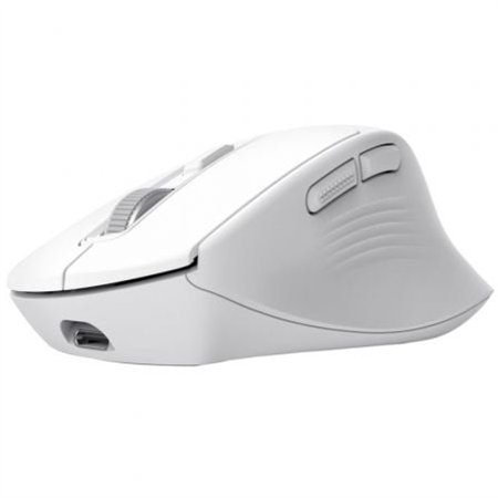 Ratón Trust Niven RF Wireless/Bluetooth Blanco (26022)