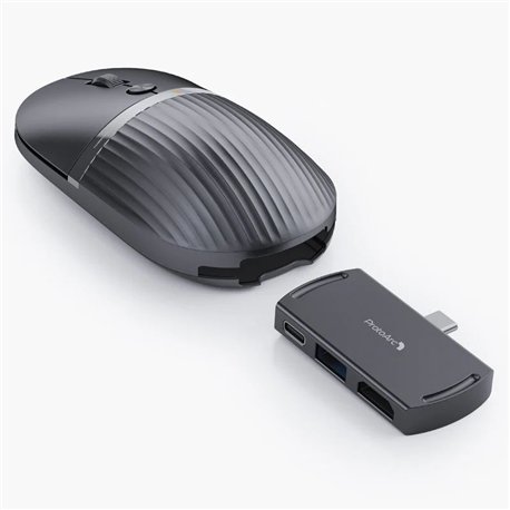 Ratón ProtoArc HubMouse Inalámbrico Negro (CP013076)