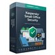 Kaspersky Small Office Sec.7 10u 1a (KL4541X5KFS-20ES*)