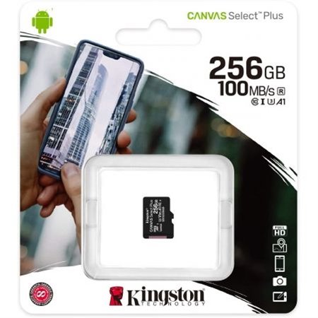 Kingston MicroSD Selecct Plus 256Gb C10 (SDCS2/256GBSP)
