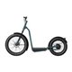 Bicinete electrico CECOTEC Trotón Fat 1300W (07113)