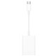 Lector Tarjetas Apple SD USB-C 2.0 Blanco (MUFG2ZM/A)