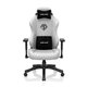 Silla Gaming ANDASEAT Phantom 3 L Gris (AD18Y-06-G-F)