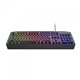 Teclado Gaming Trust GTX836 Evocx RGB USB Negro (24998)