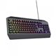 Teclado Gaming Trust GTX836 Evocx RGB USB Negro (24998)